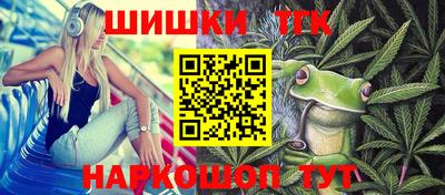 соль ск Камышлов