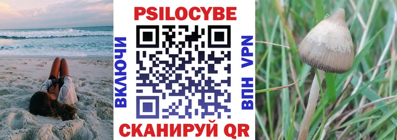 Галлюциногенные грибы Psilocybine cubensis Подольск