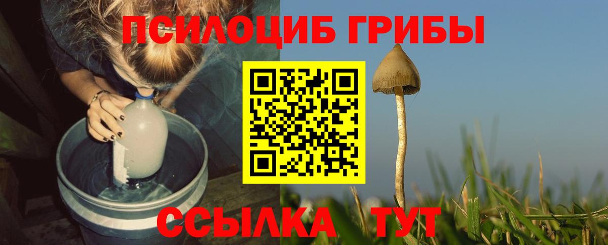 Подольск  Галлюциногенные грибы прущие грибы  Вход с VPN  наркотики  Псилоцибиновые грибы Cubensis 